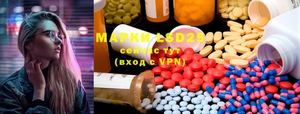 индика Надым