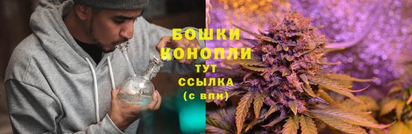 ECSTASY Абаза