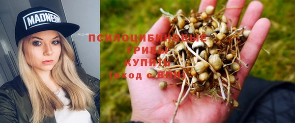 ECSTASY Абаза