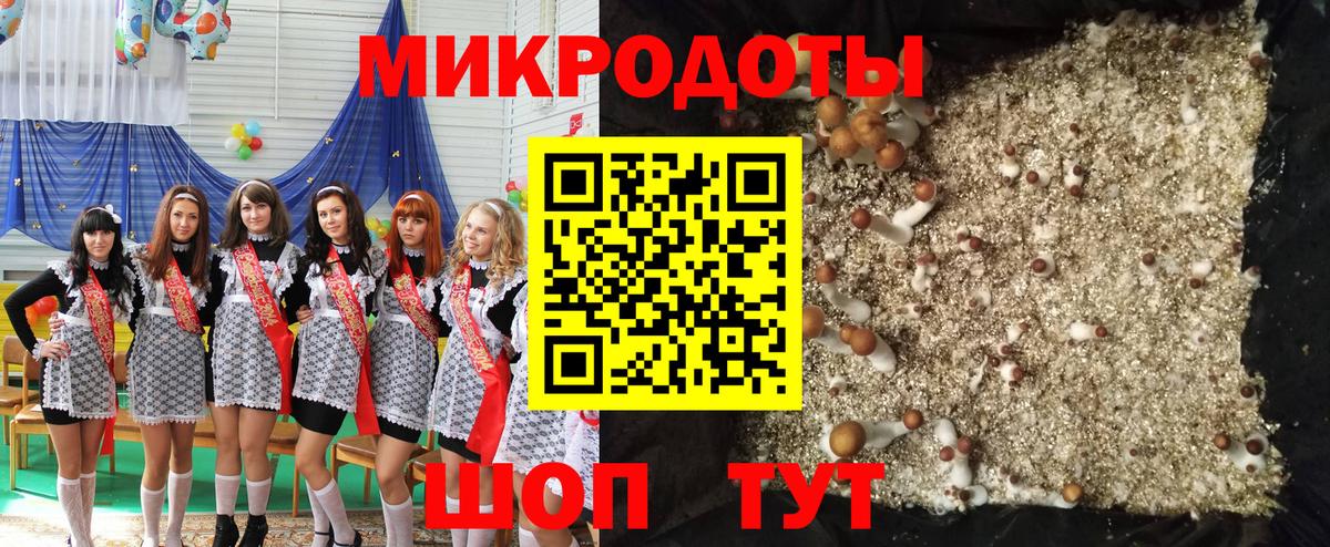 Фрязино  Псилоцибиновые грибы Magic Shrooms  Вход с VPN  Псилоцибиновые грибы Psilocybe 