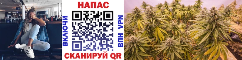 дарнет шоп  Фрязино  Шишки марихуана тримм 